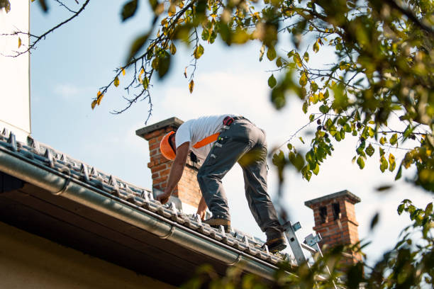 Best Emergency Roof Repair  in Waverly, MN