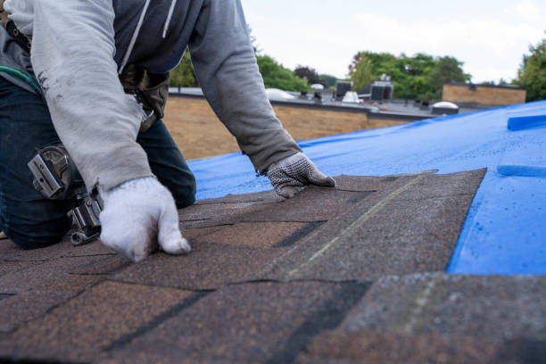 Best Roof Waterproofing Services  in Waverly, MN