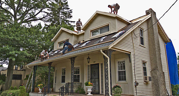 Best Flat Roof Repair Services  in Waverly, MN